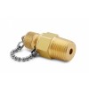Ralston QTFT-4MB1 QTM x 1/2in MNPT Brass Fitting with Check Valve + Cap and Chain