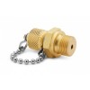 Ralston QTFT-3MB0-RS QT Male x 3/8in MBSPP Fitting with Cap and Chain