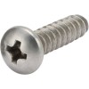 Ralston Nitropak Panel Pan Head Phillips Screw